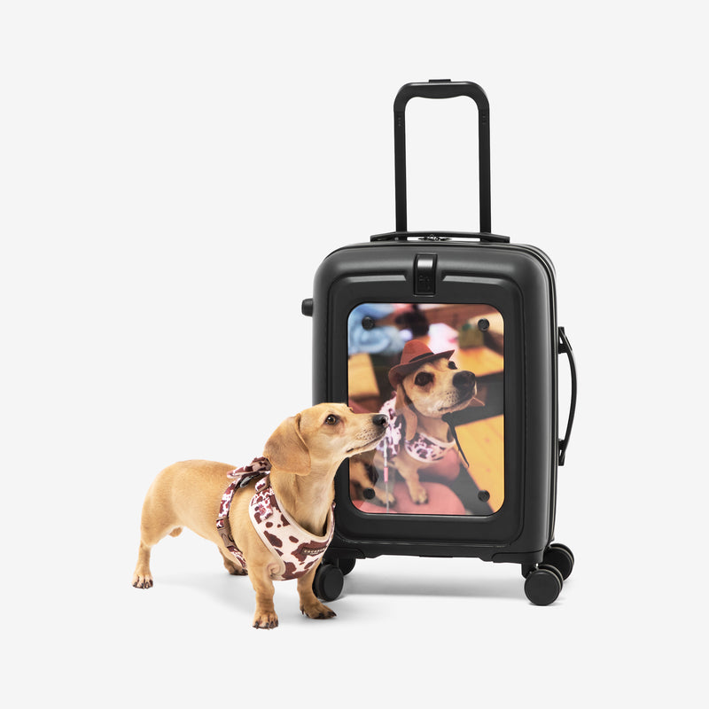 Modify - Suitcase with Personalised Panel (Geometric Strip - Initials)