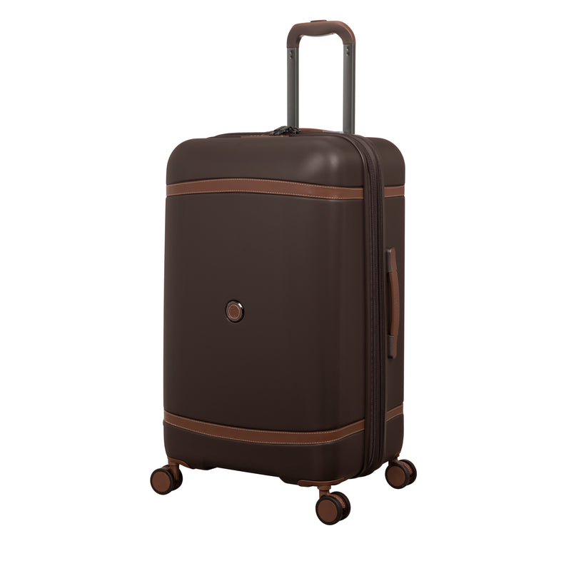 Extravagant Trunk - Medium (Brown)