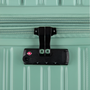 Jumbo Trunk - Medium (Granite Green)