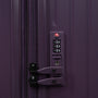 Legion Trunk - Large (Plum Perfect)
