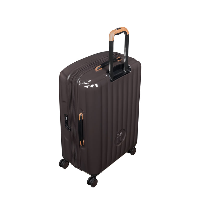 Zonation - Large (Brown)