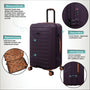 Legion Trunk - Medium (Plum Perfect)
