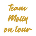 Modify - Suitcase with Personalised Panel (Team on Tour - Name)
