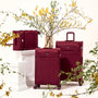 Lustrous Luxe - Medium (French Port)
